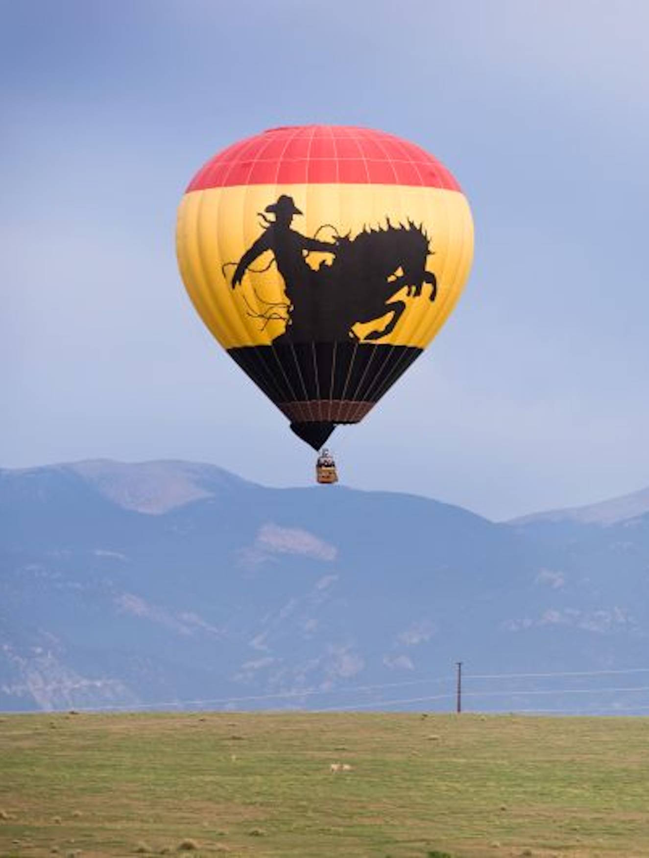 Greg Wellens / Terry Cleaveleand